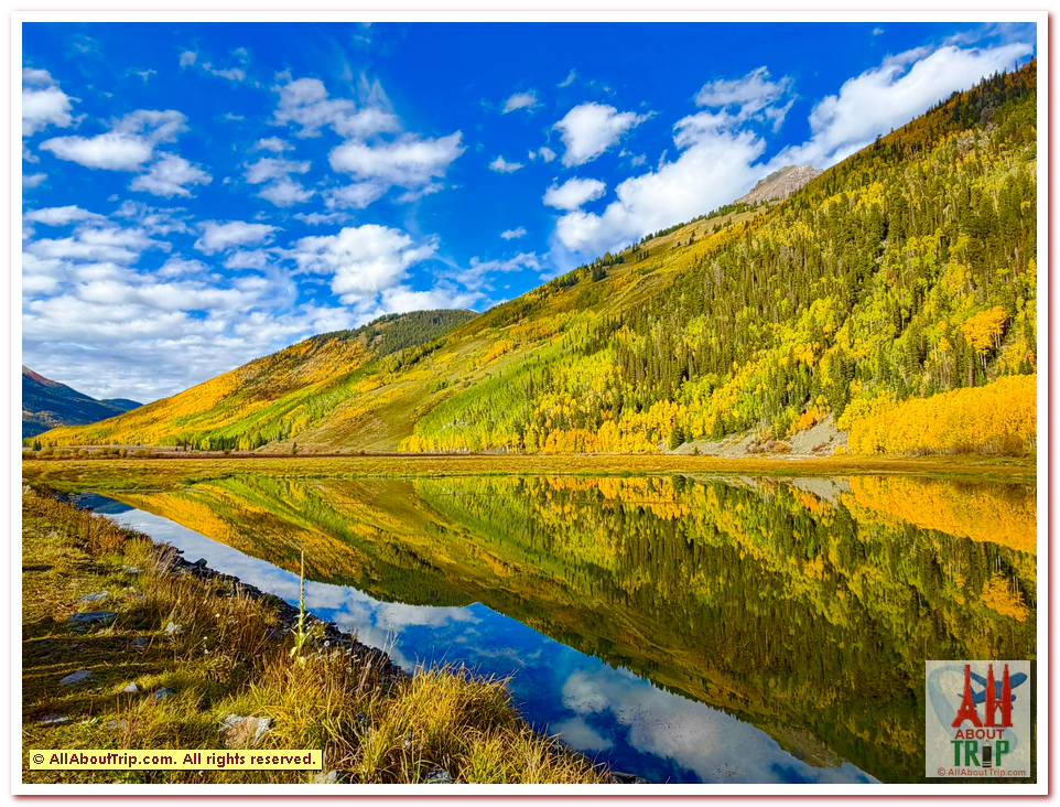 Aspen Gold