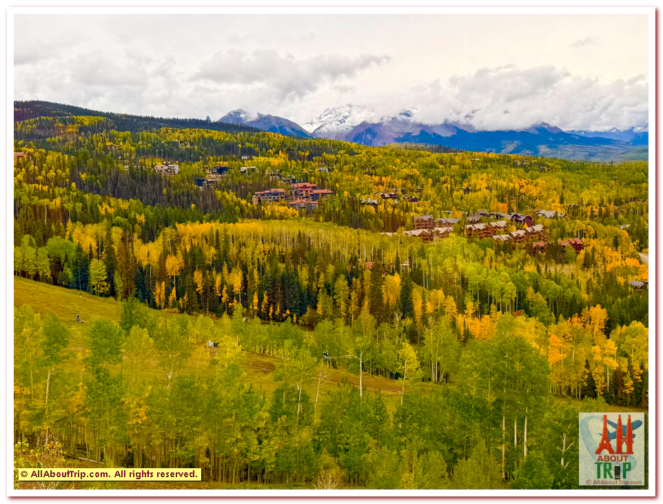 Aspen Gold