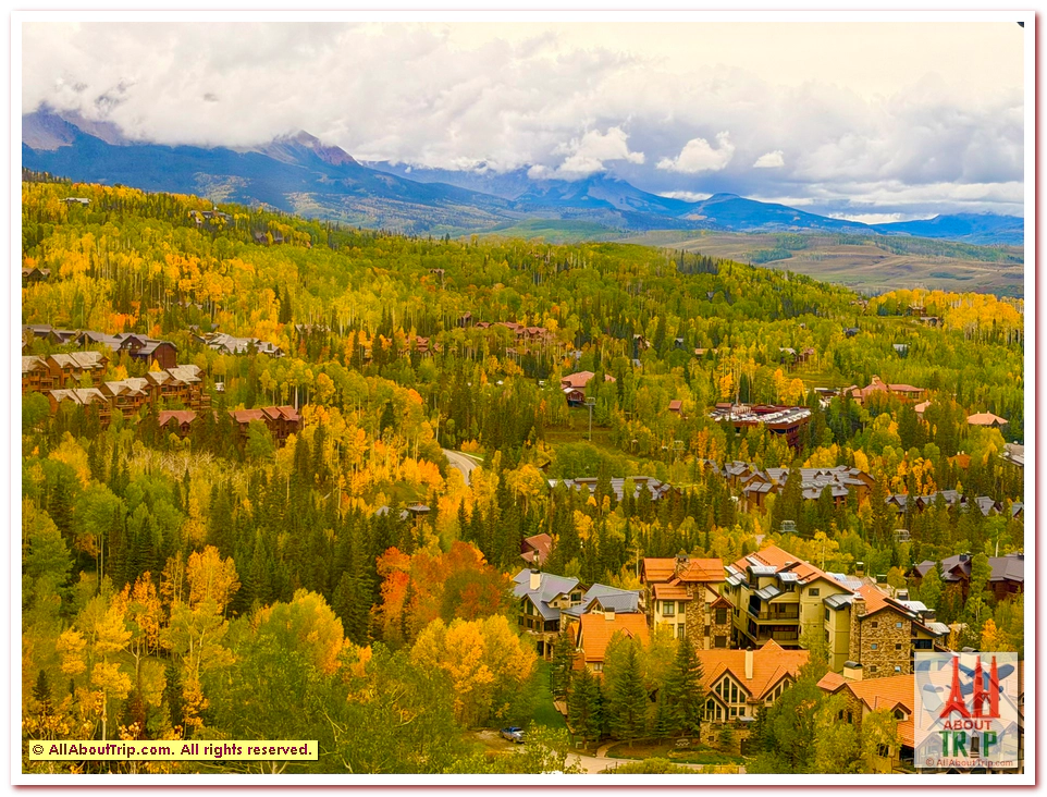 Aspen Gold