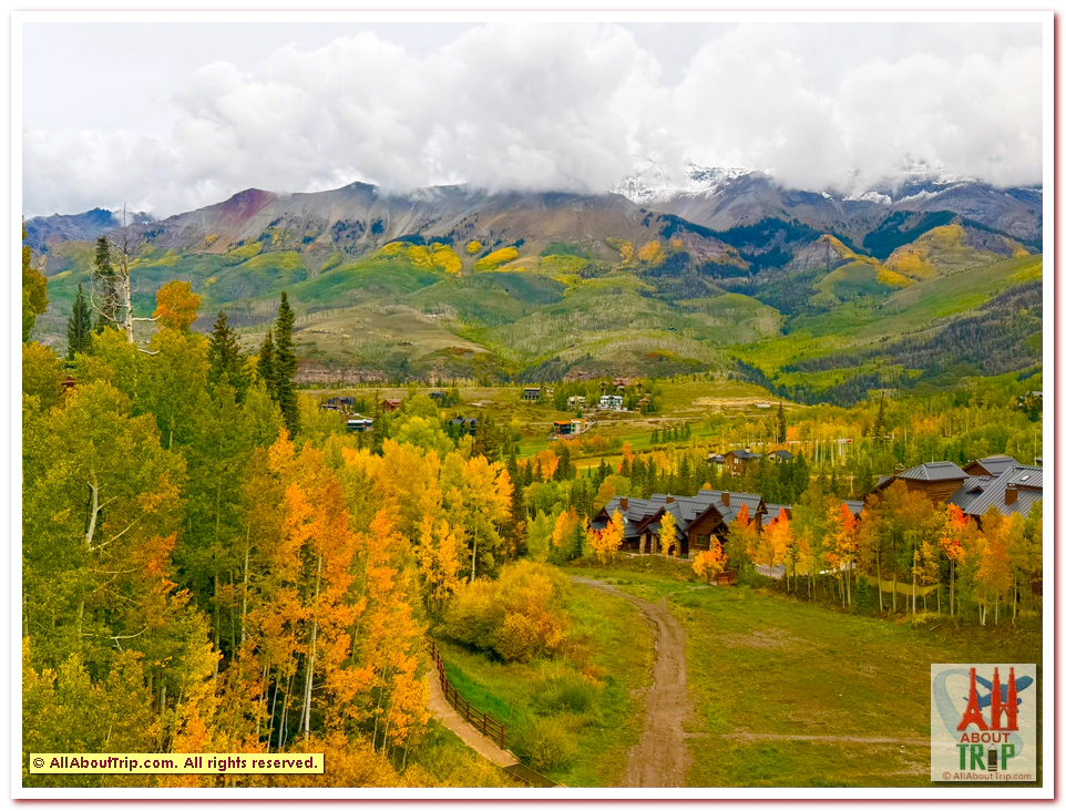 Aspen Gold