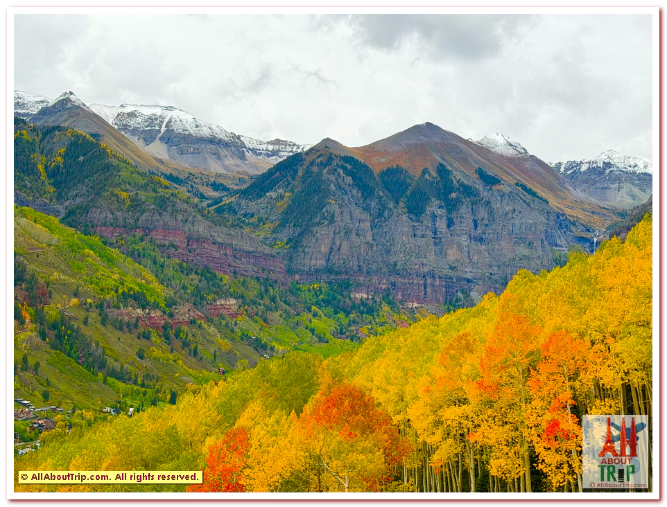 Aspen Gold
