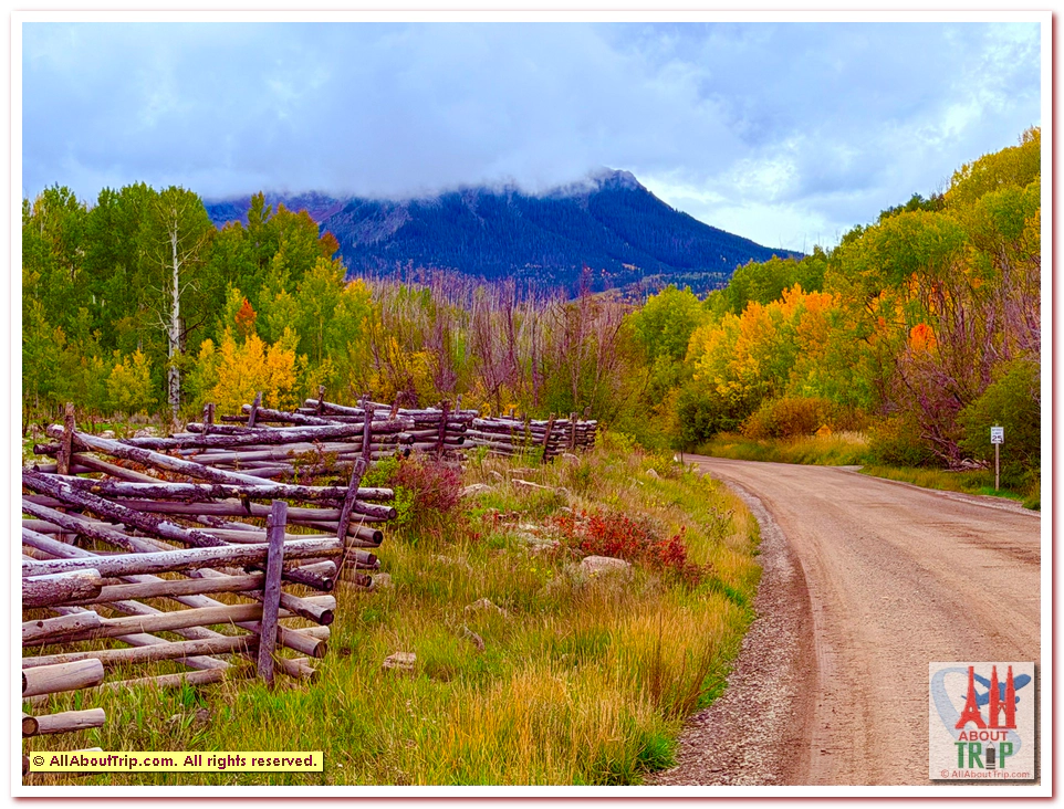 Aspen Gold