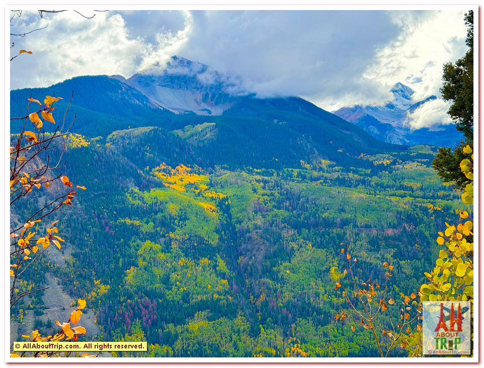 Aspen Gold
