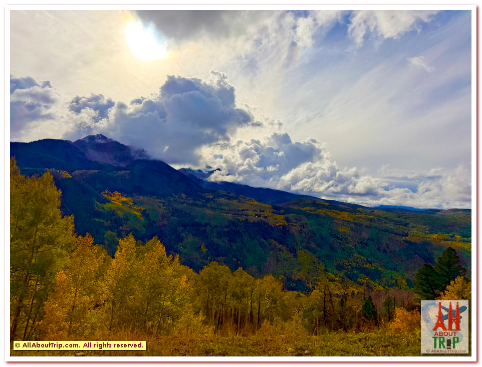 Aspen Gold