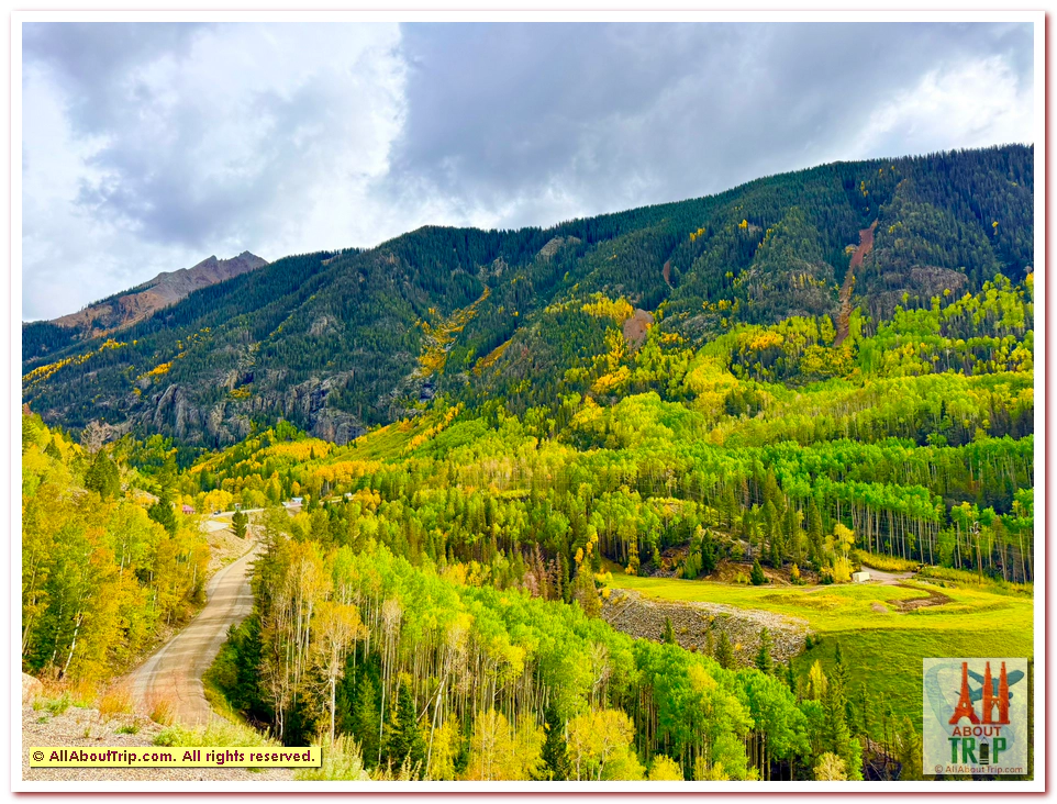 Aspen Gold