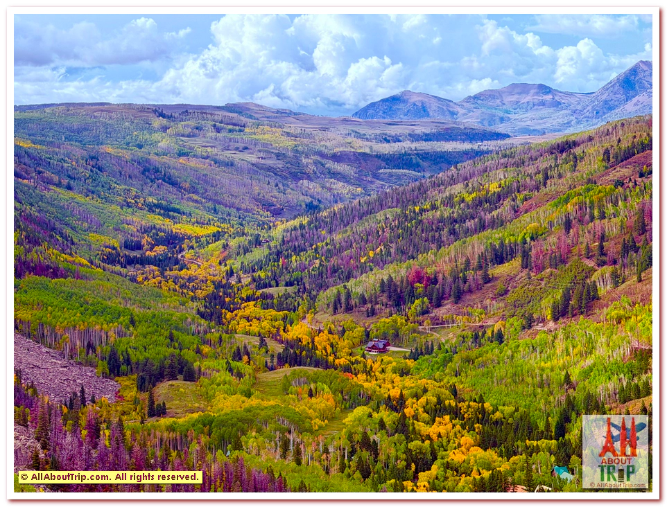 Aspen Gold