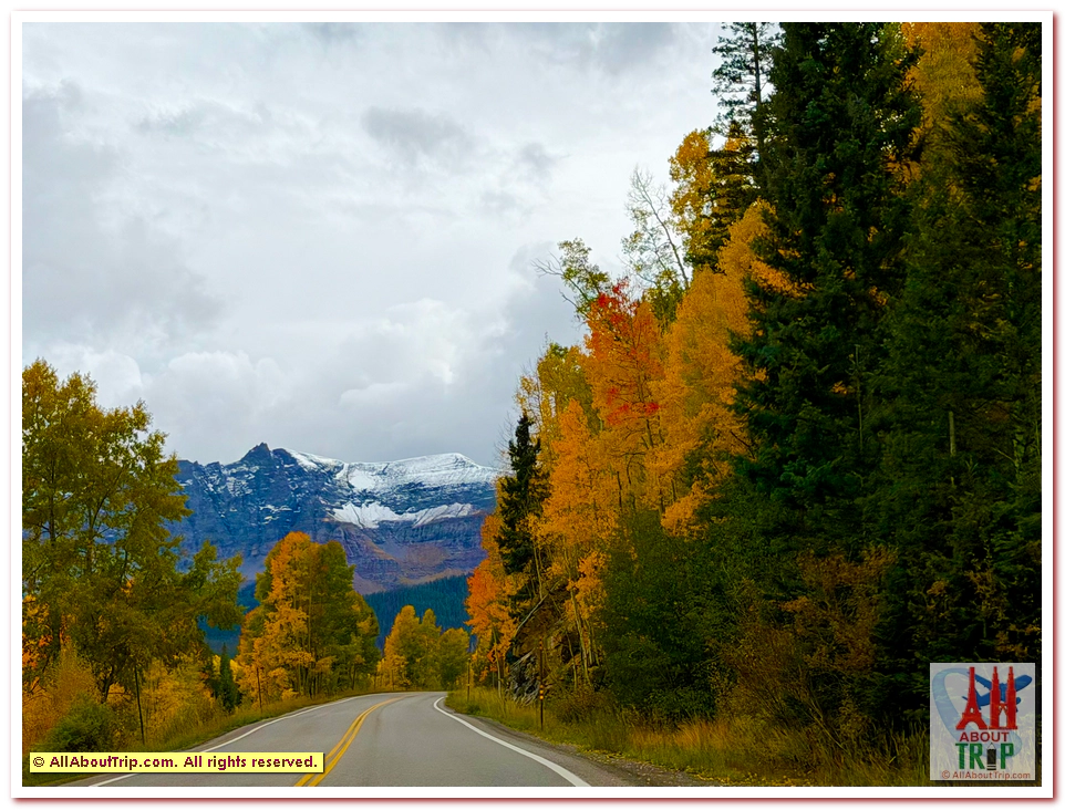 Aspen Gold