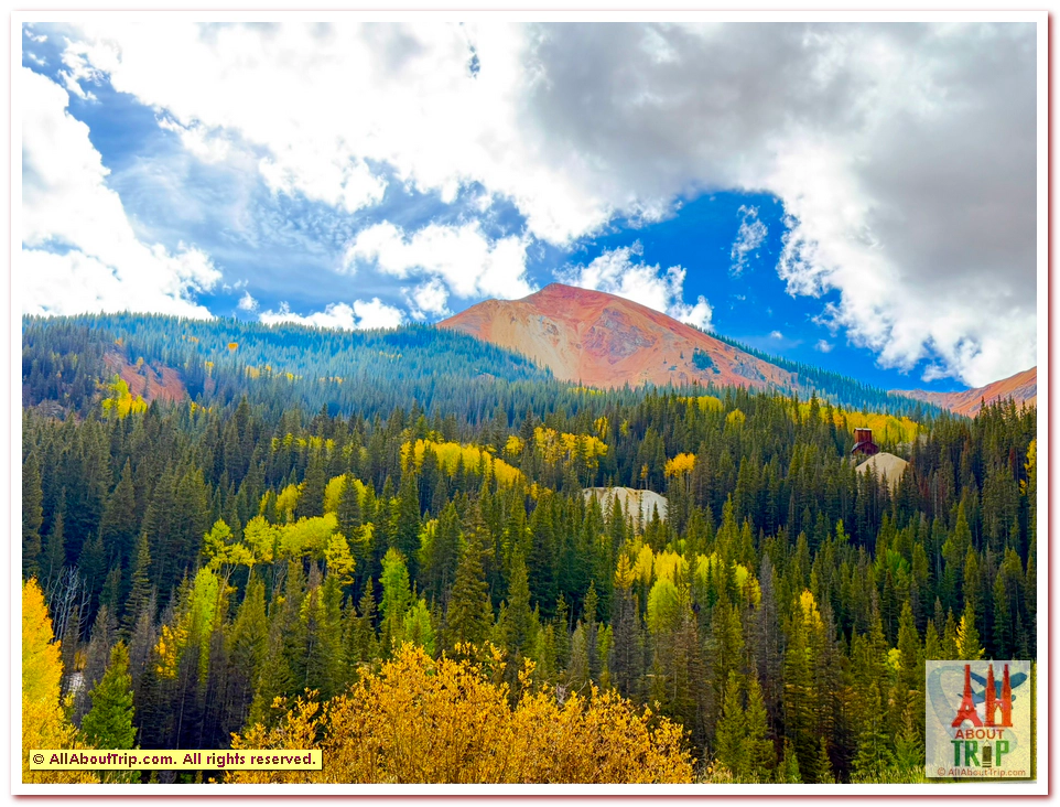 Aspen Gold
