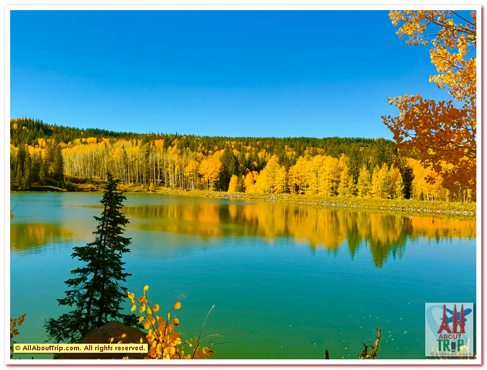 Aspen Gold