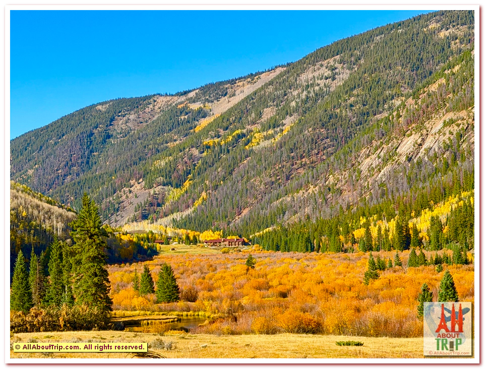 Aspen Gold