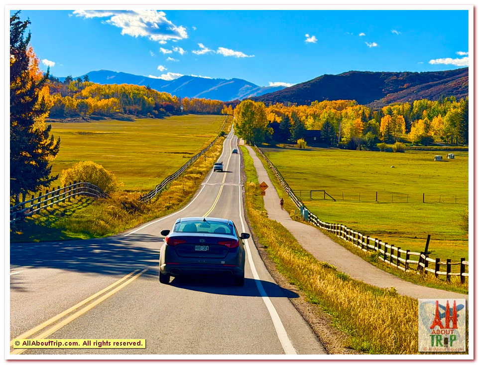 Aspen Gold