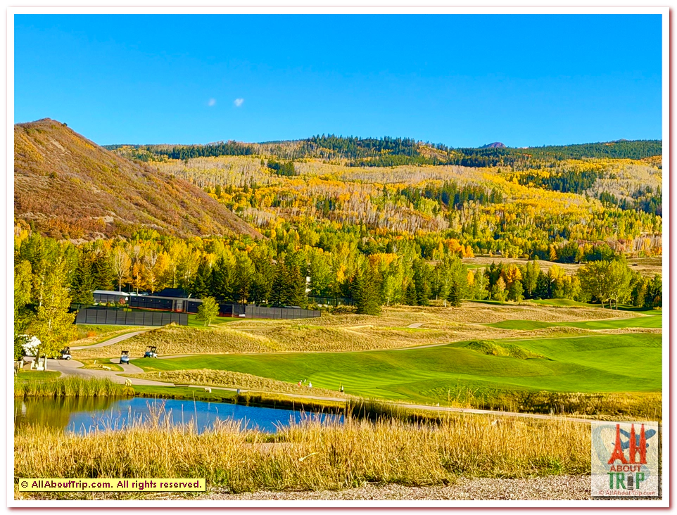 Aspen Gold