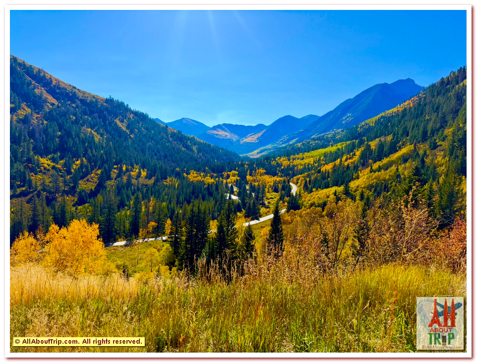 Aspen Gold
