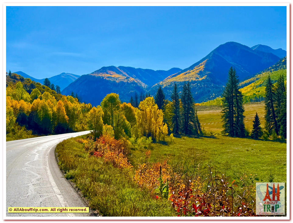 Aspen Gold