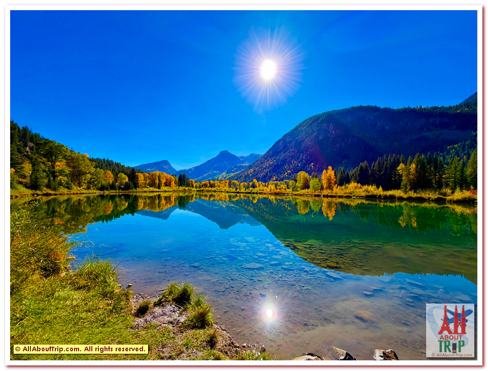 Aspen Gold