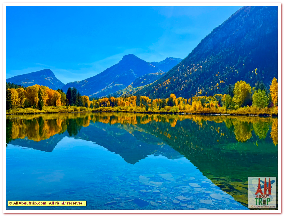 Aspen Gold