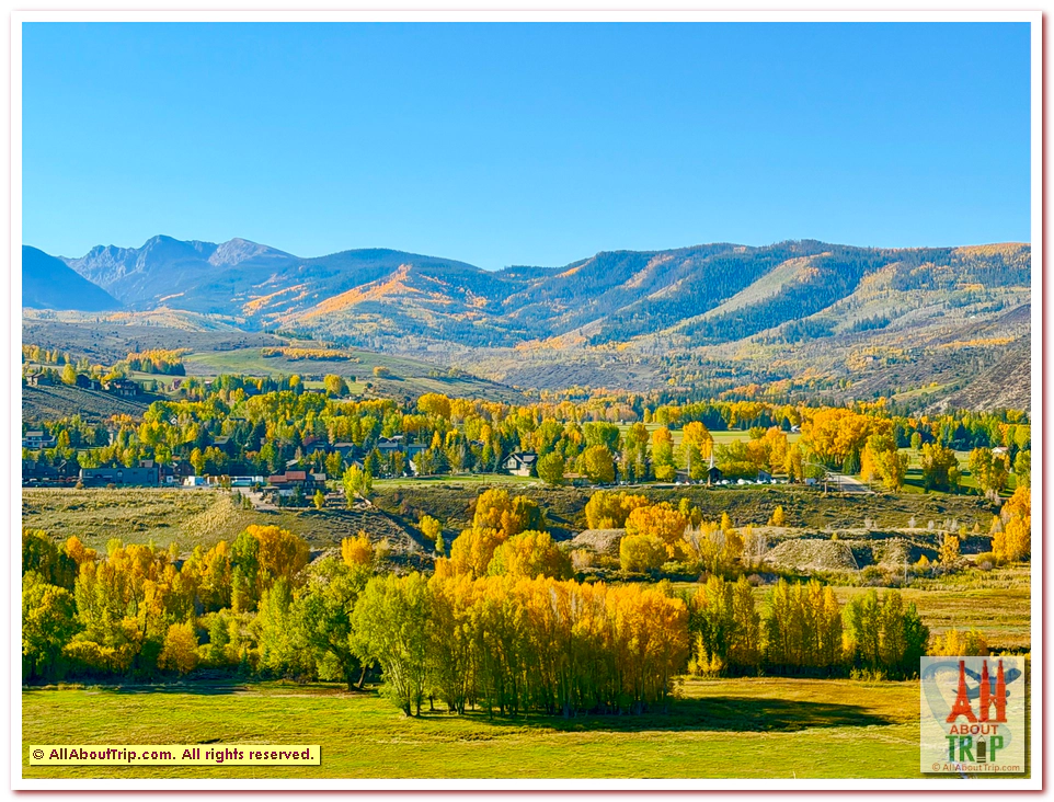 Aspen Gold