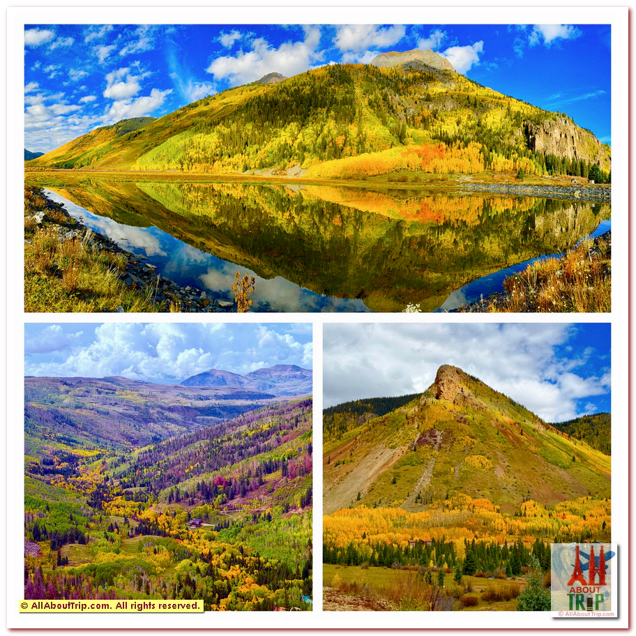 Aspen Gold