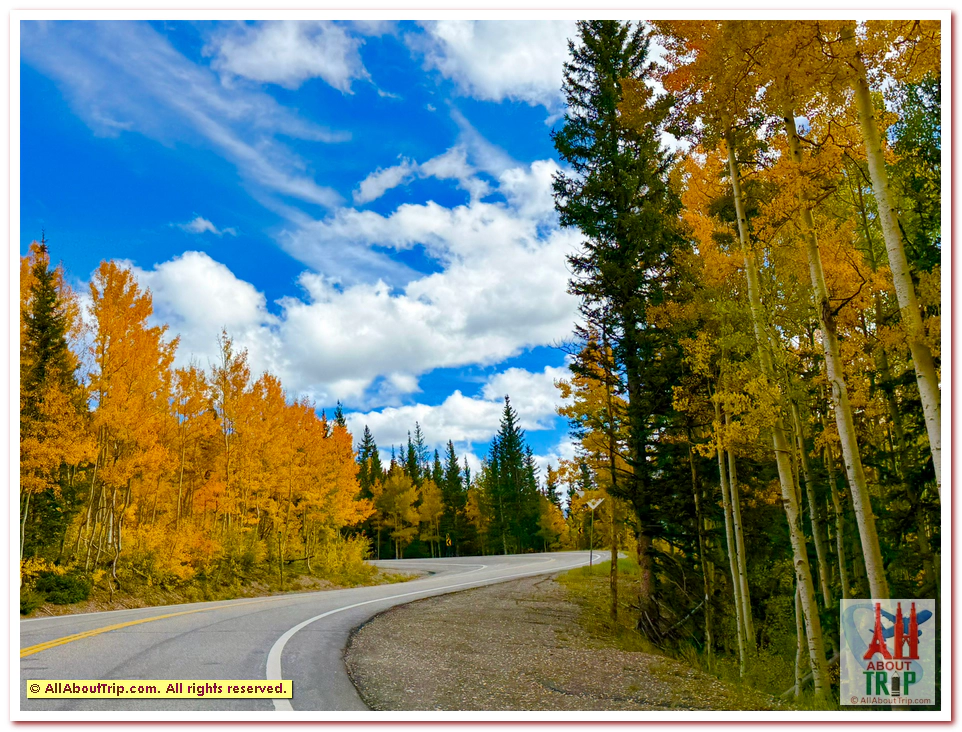 Aspen Gold
