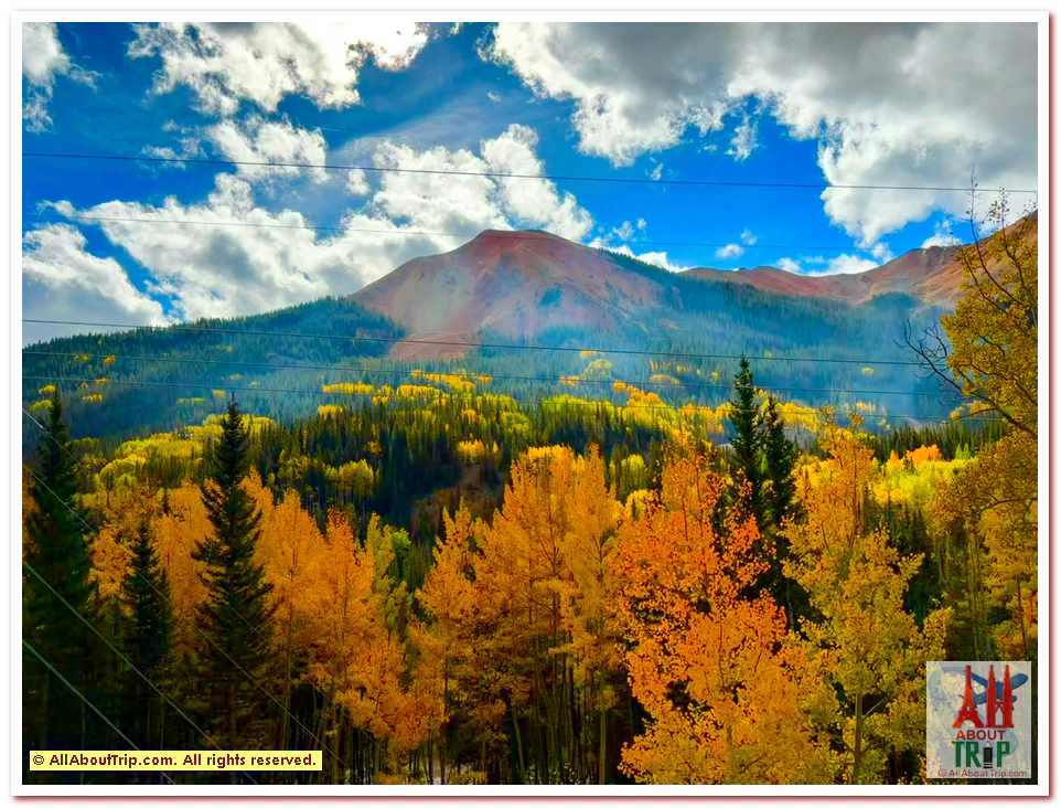 Aspen Gold