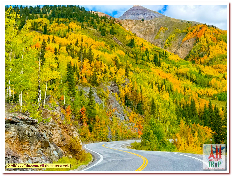 Aspen Gold