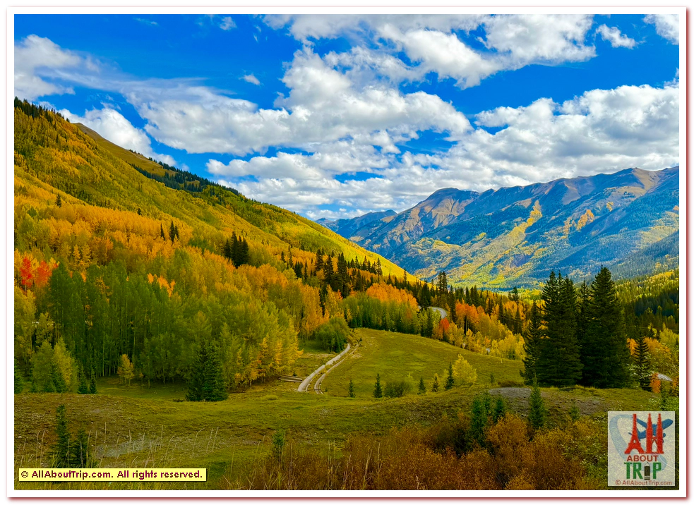 Aspen Gold