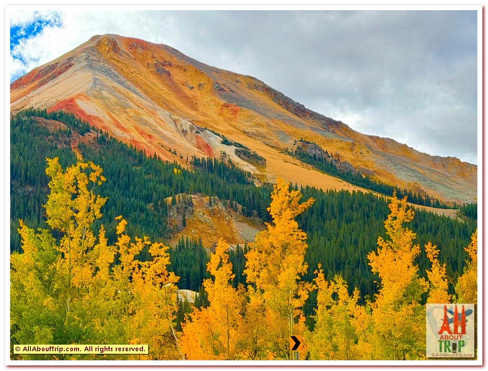 Aspen Gold