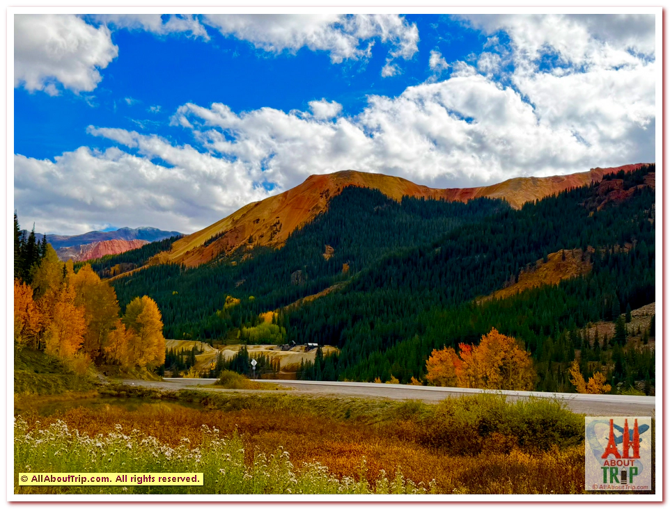 Aspen Gold
