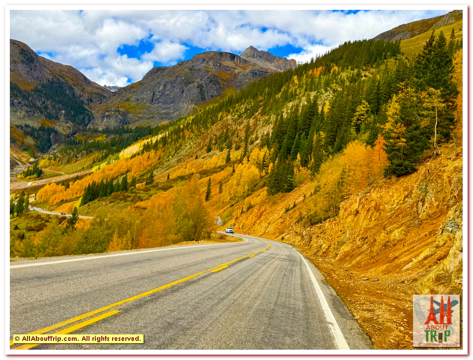 Aspen Gold
