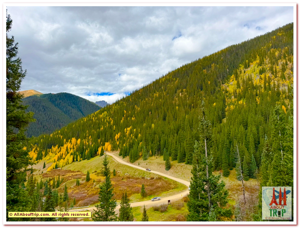 Aspen Gold