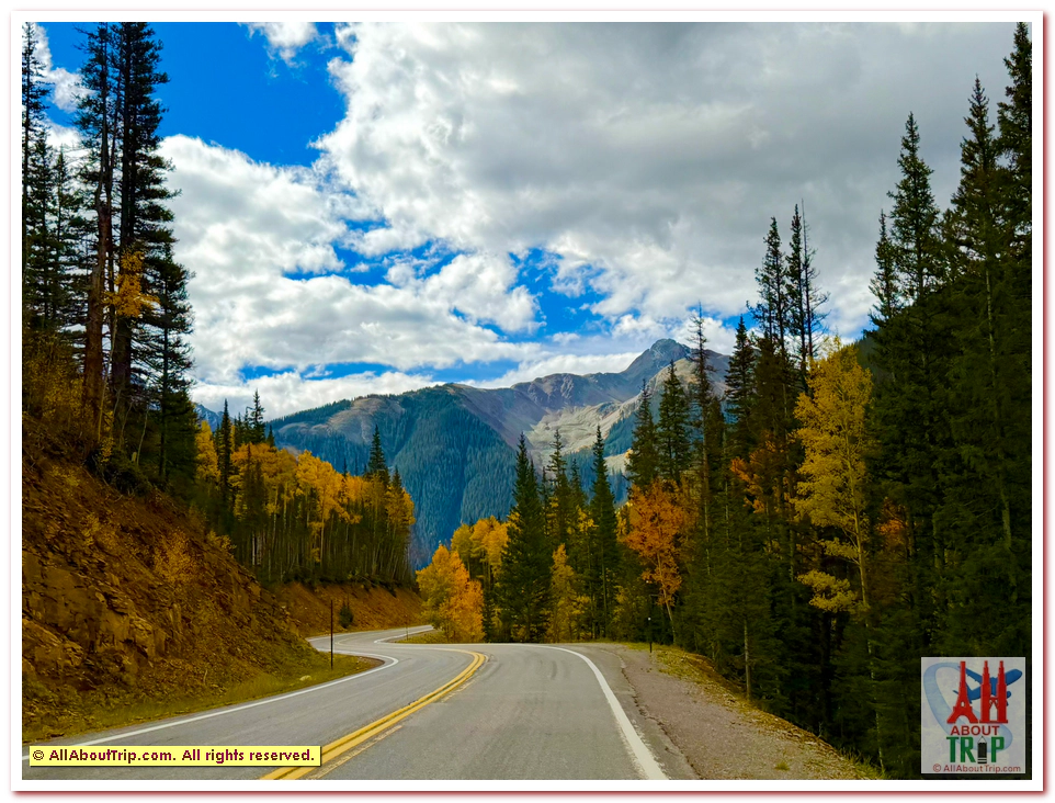 Aspen Gold