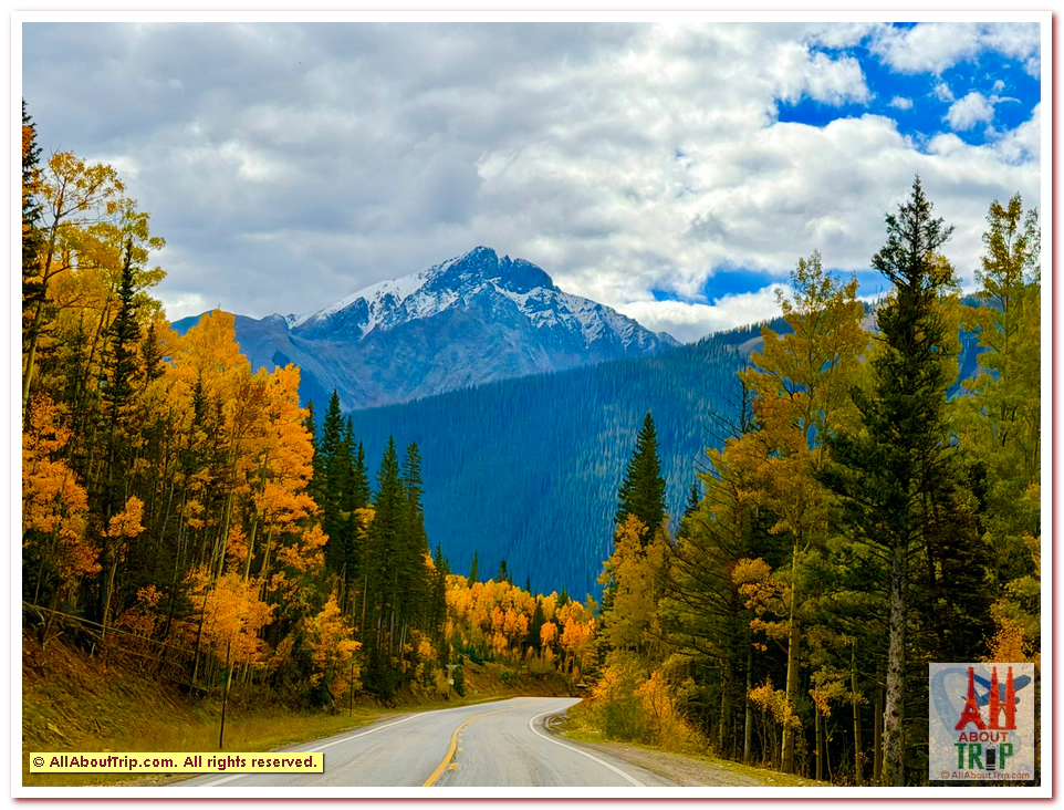 Aspen Gold