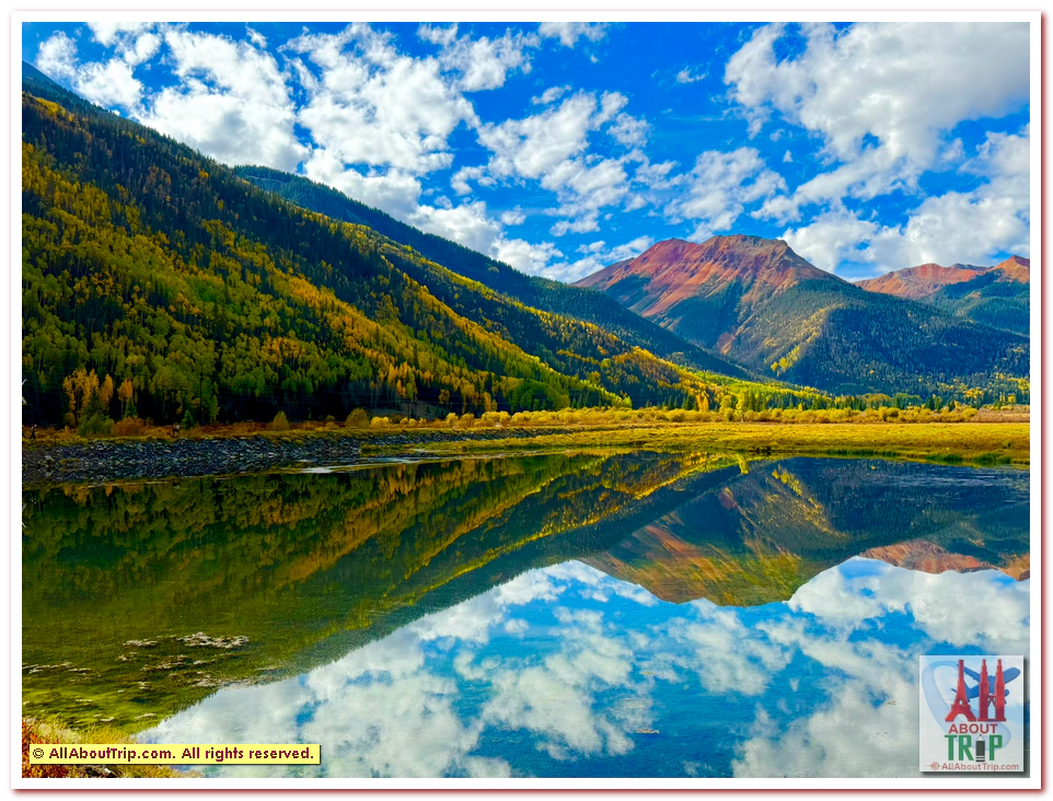 Aspen Gold