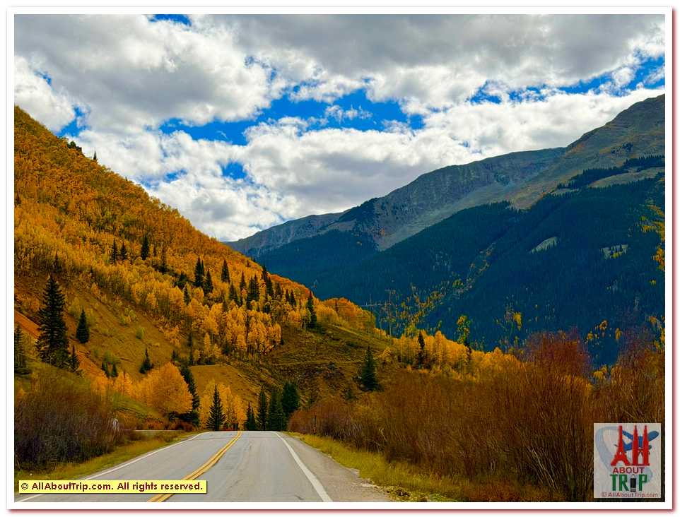 Aspen Gold