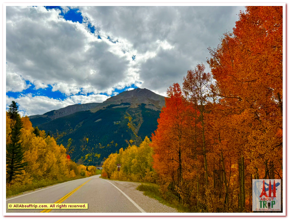 Aspen Gold