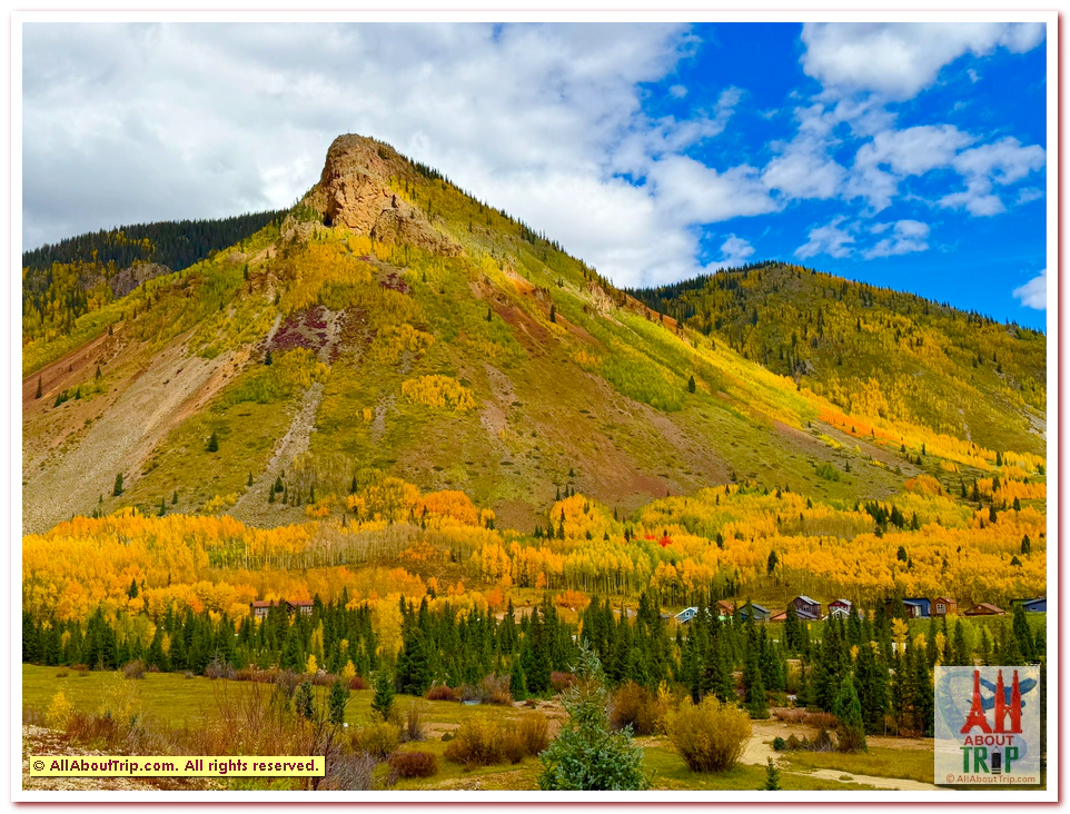 Aspen Gold