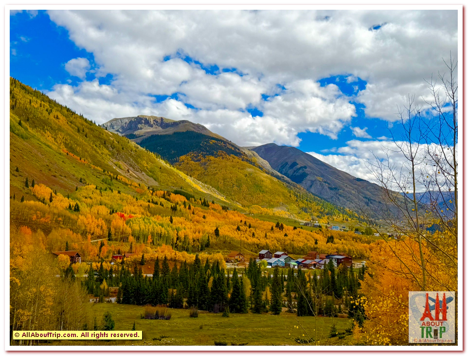 Aspen Gold