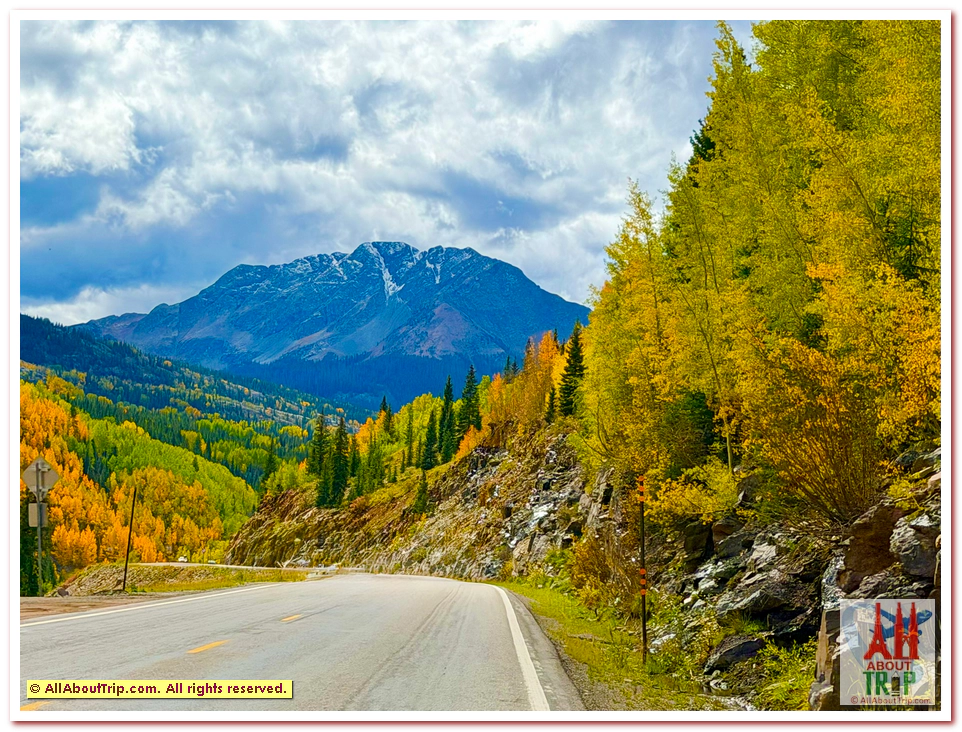 Aspen Gold