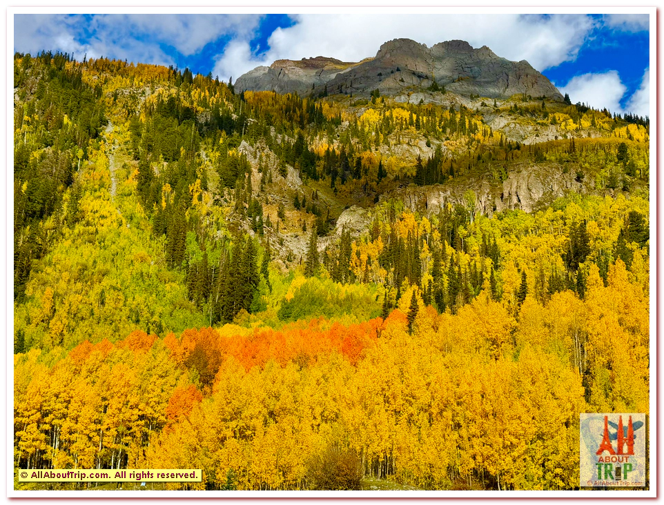 Aspen Gold