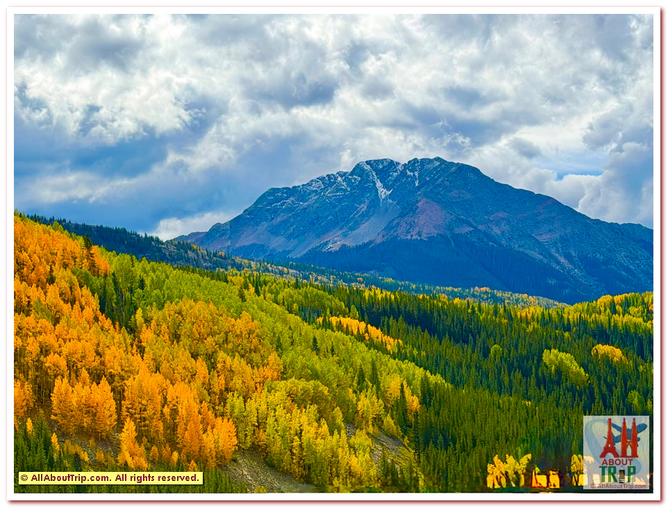 Aspen Gold