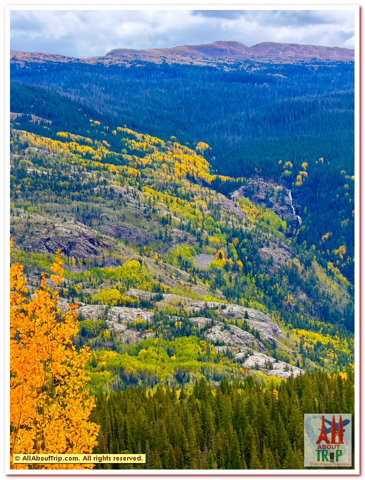 Aspen Gold