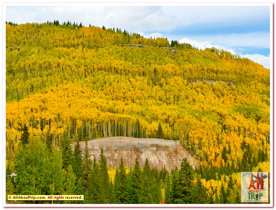 Aspen Gold