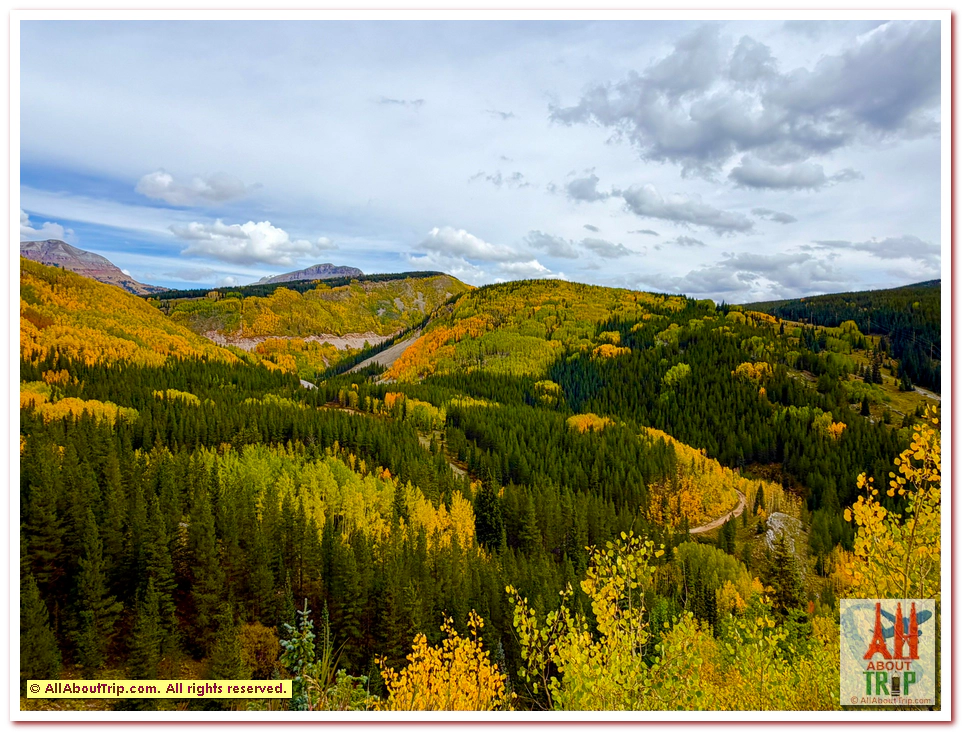 Aspen Gold