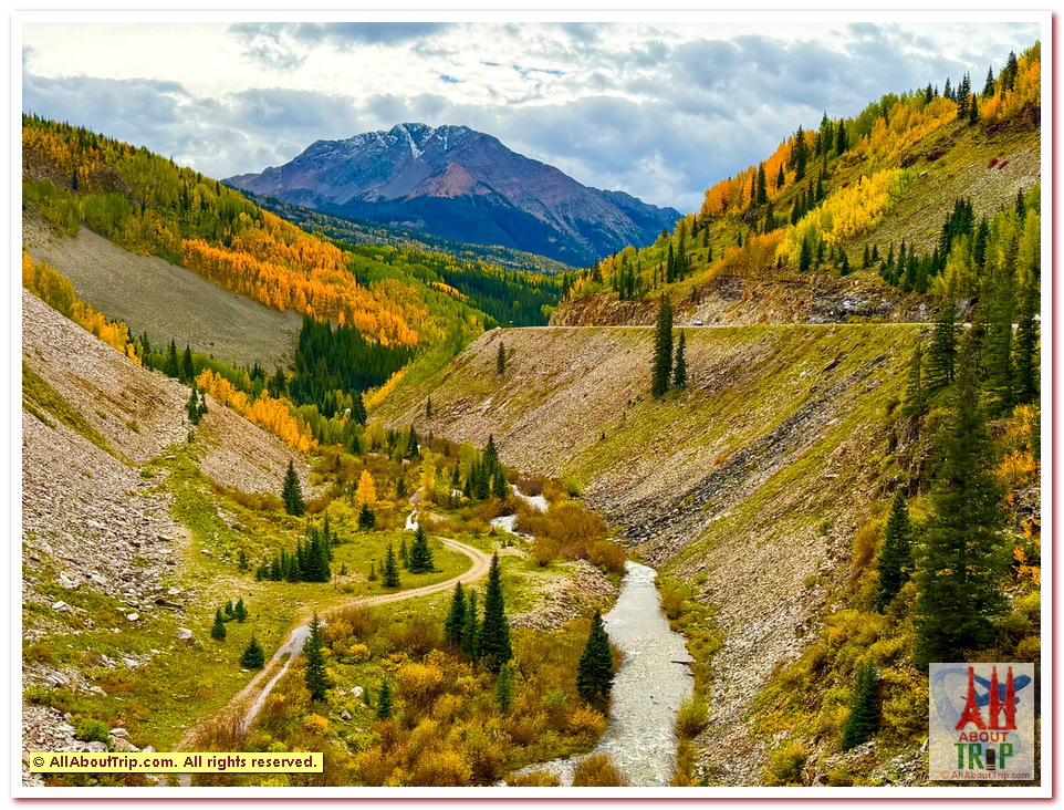 Aspen Gold