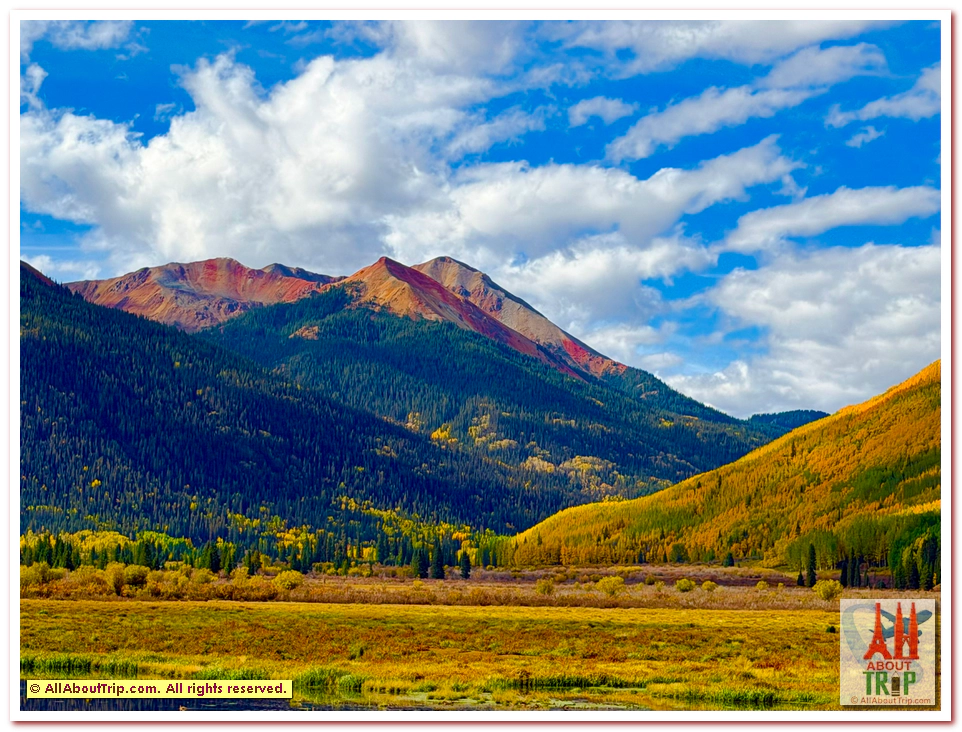 Aspen Gold