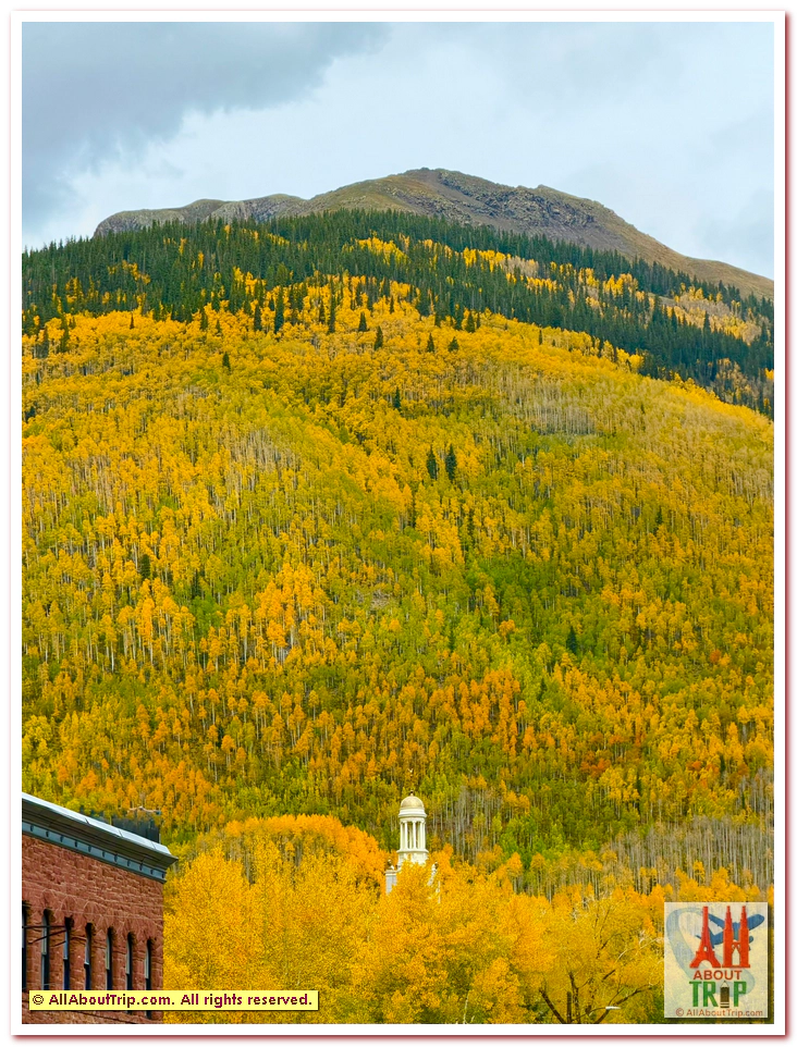Aspen Gold