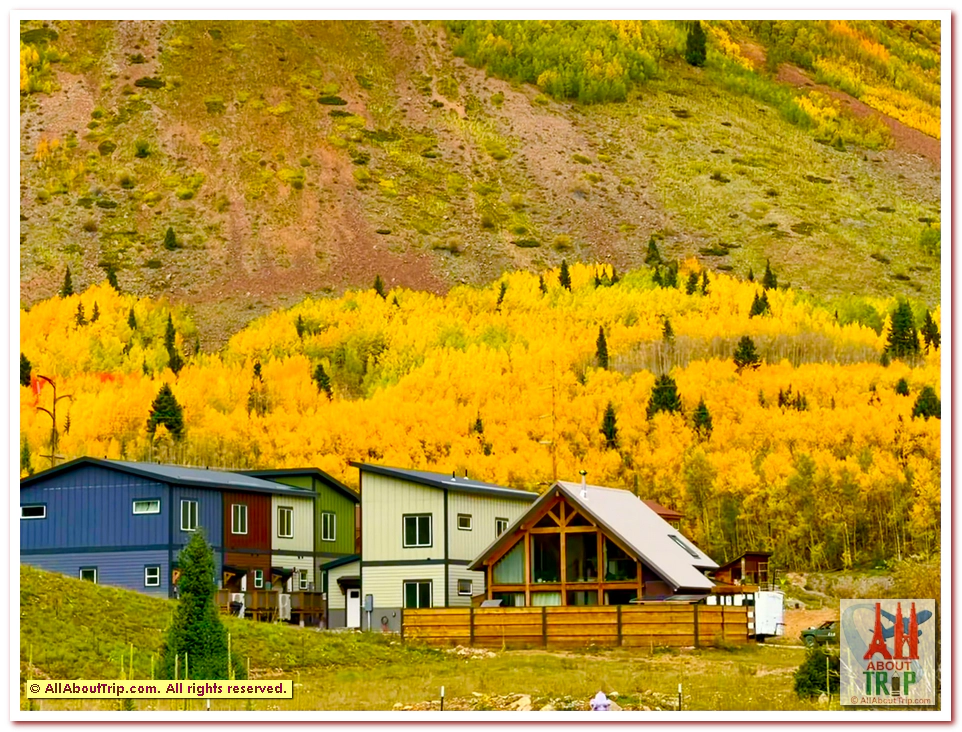 Aspen Gold