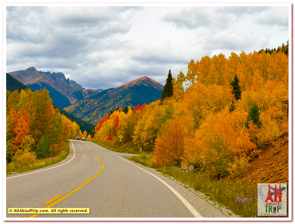 Aspen Gold
