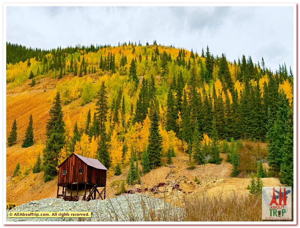 Aspen Gold