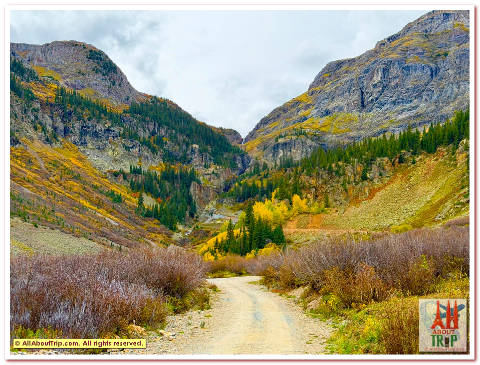 Aspen Gold